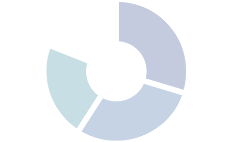 Segment Information