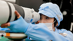 Employee photograph