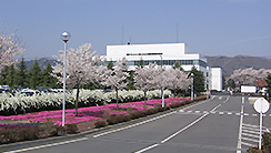 Exterior photograph
