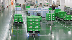 Employee photograph
