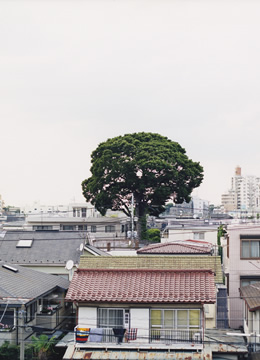 Yosuke Harada &ldquo;World-Becoming Things&rdquo; 