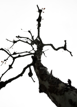 Yuki Hamanaka &ldquo;Life of Silence&rdquo; 