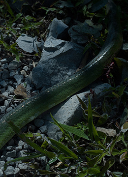 214 &ldquo;The collection of encounters&rdquo;
