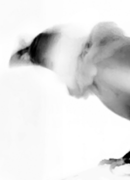 Tamaki Yoshida?&ldquo;Sympathetic Resonance&rdquo;