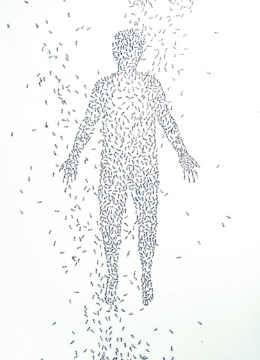 Tomomichi Nakamura?&ldquo;Like Ants&rdquo;