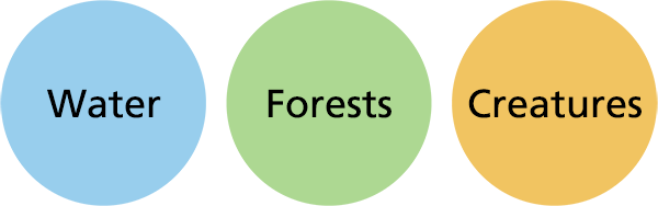 Main Areas of Focus