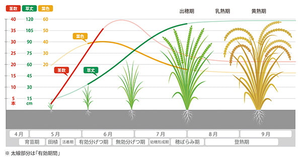 Creation of crop cultivation metric database