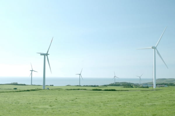 Use of Renewable Energy