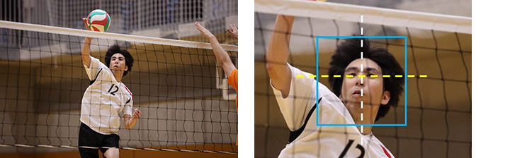 This is an explanatory diagram of DL processing that enables continuous focus tracking even as the subject's color, brightness, and shape change moment by moment.