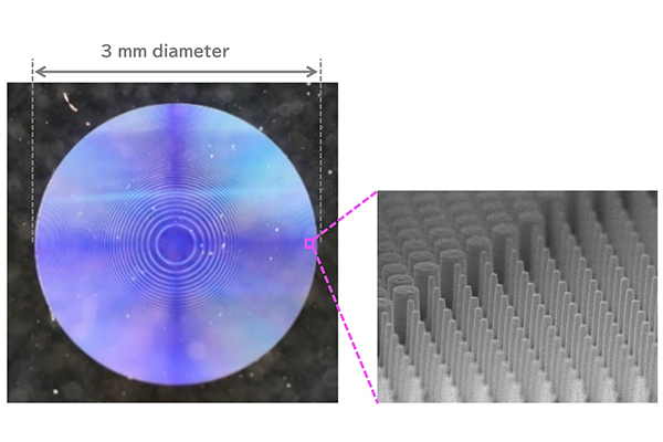 Image of a sheet-type metalens and cylindrical structures arranged on its surface