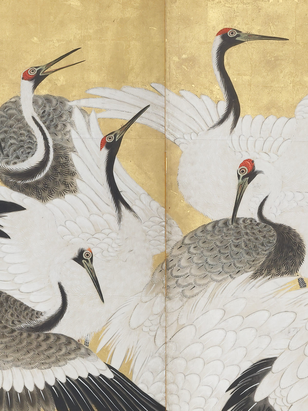 Flock of Cranes
