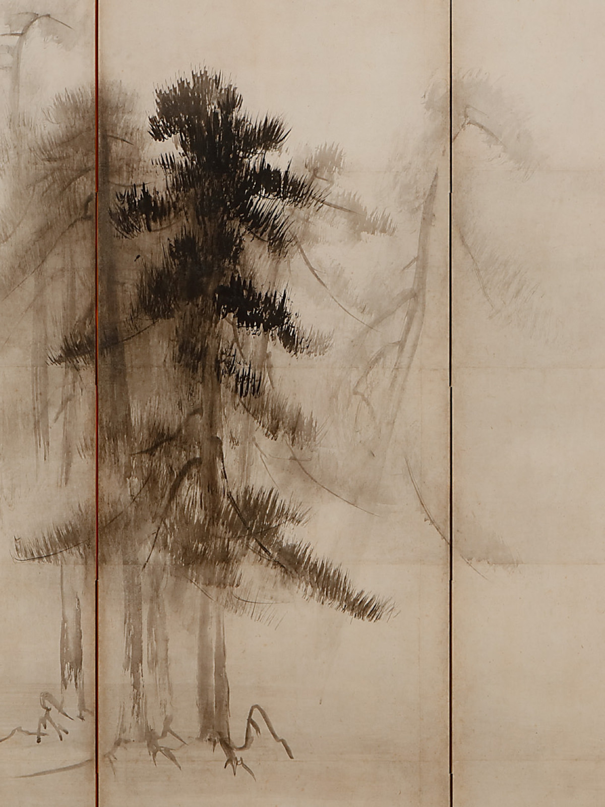 Pine Forest