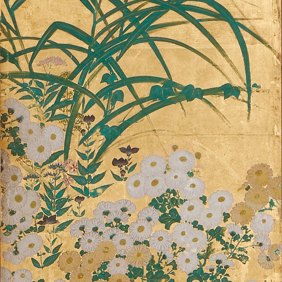 Autumn Grasses