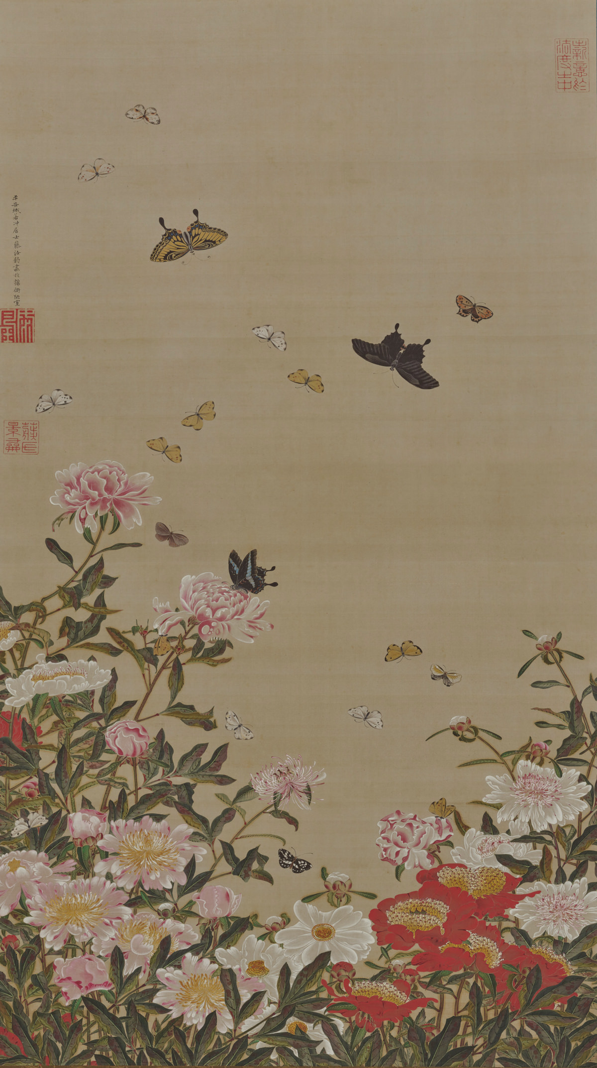 Herbaceous peonies and butterflies
