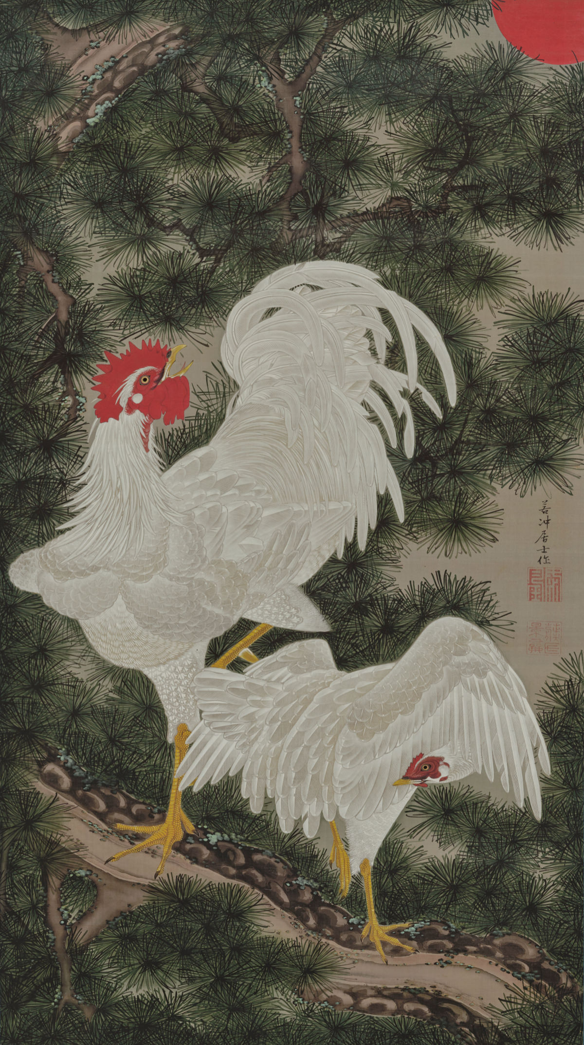 White fowl and pine