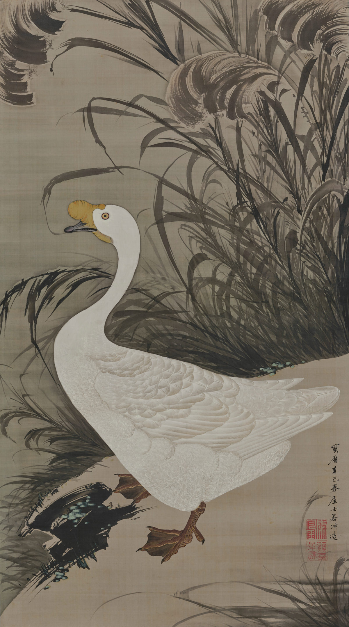 White goose and reeds