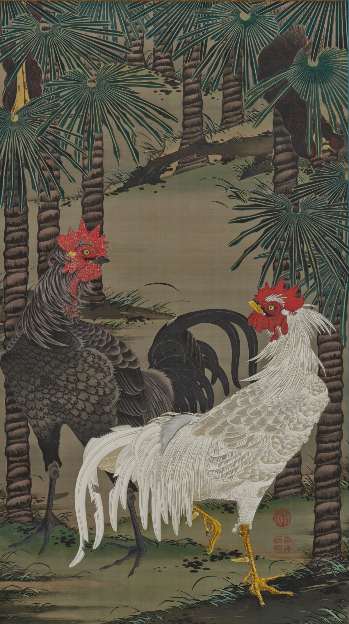 Roosters and hemp palms