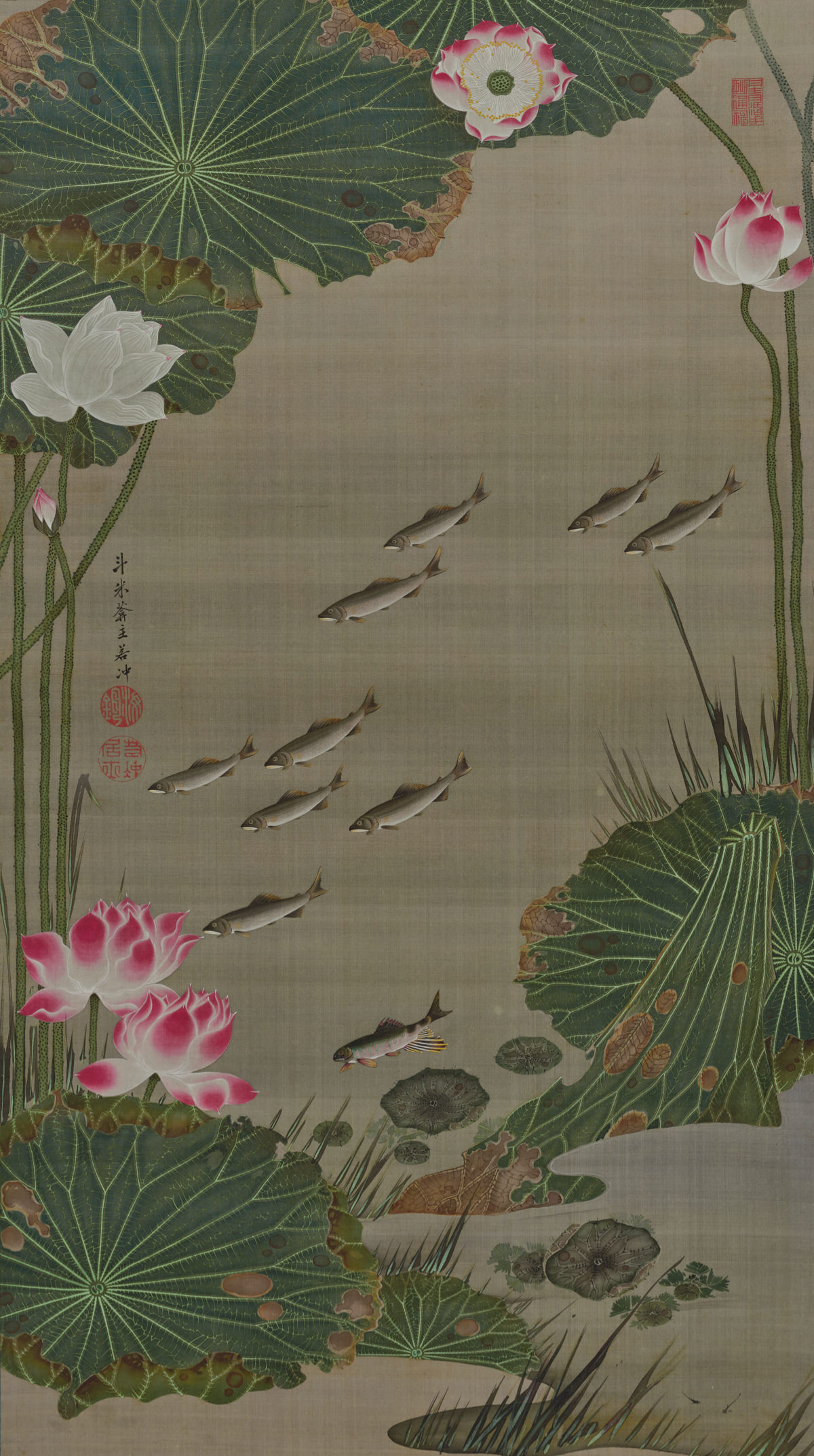 Fish in a lotus pond