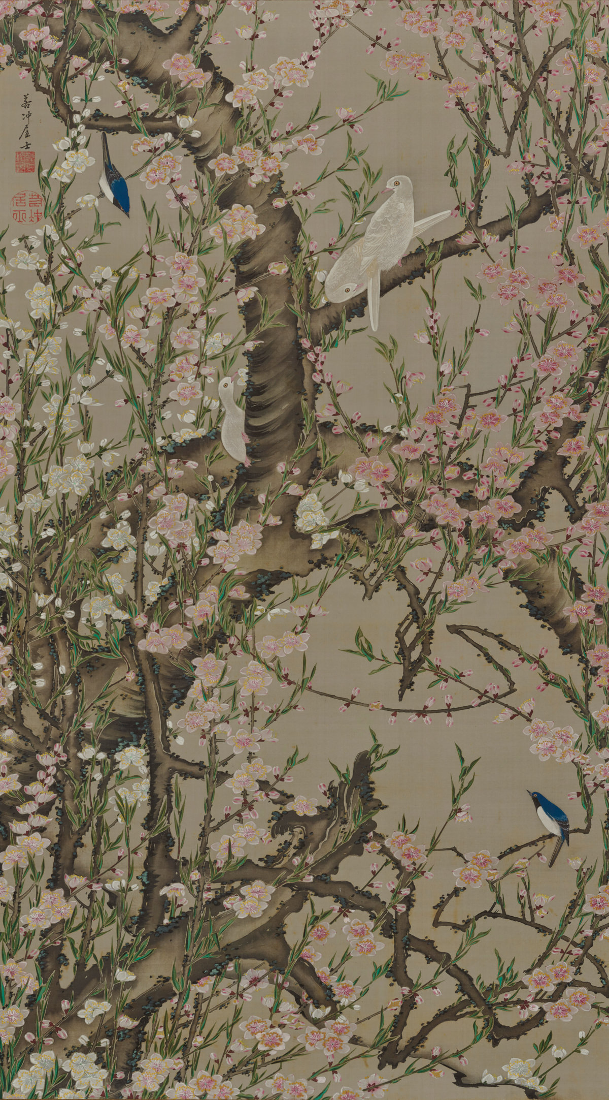 Birds on blossoming peach tree
