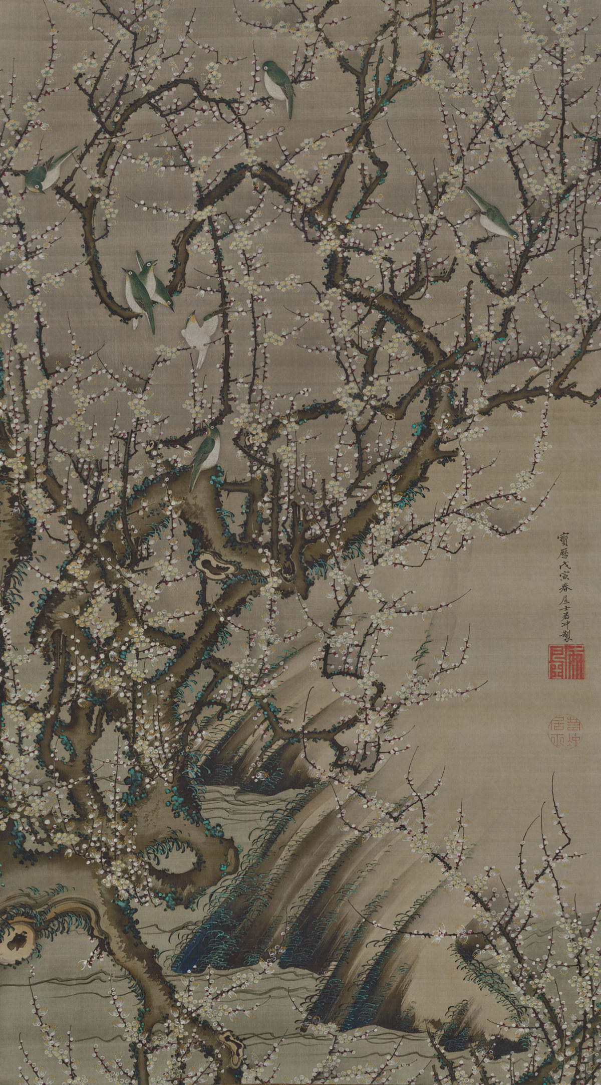 Birds on blossoming plum