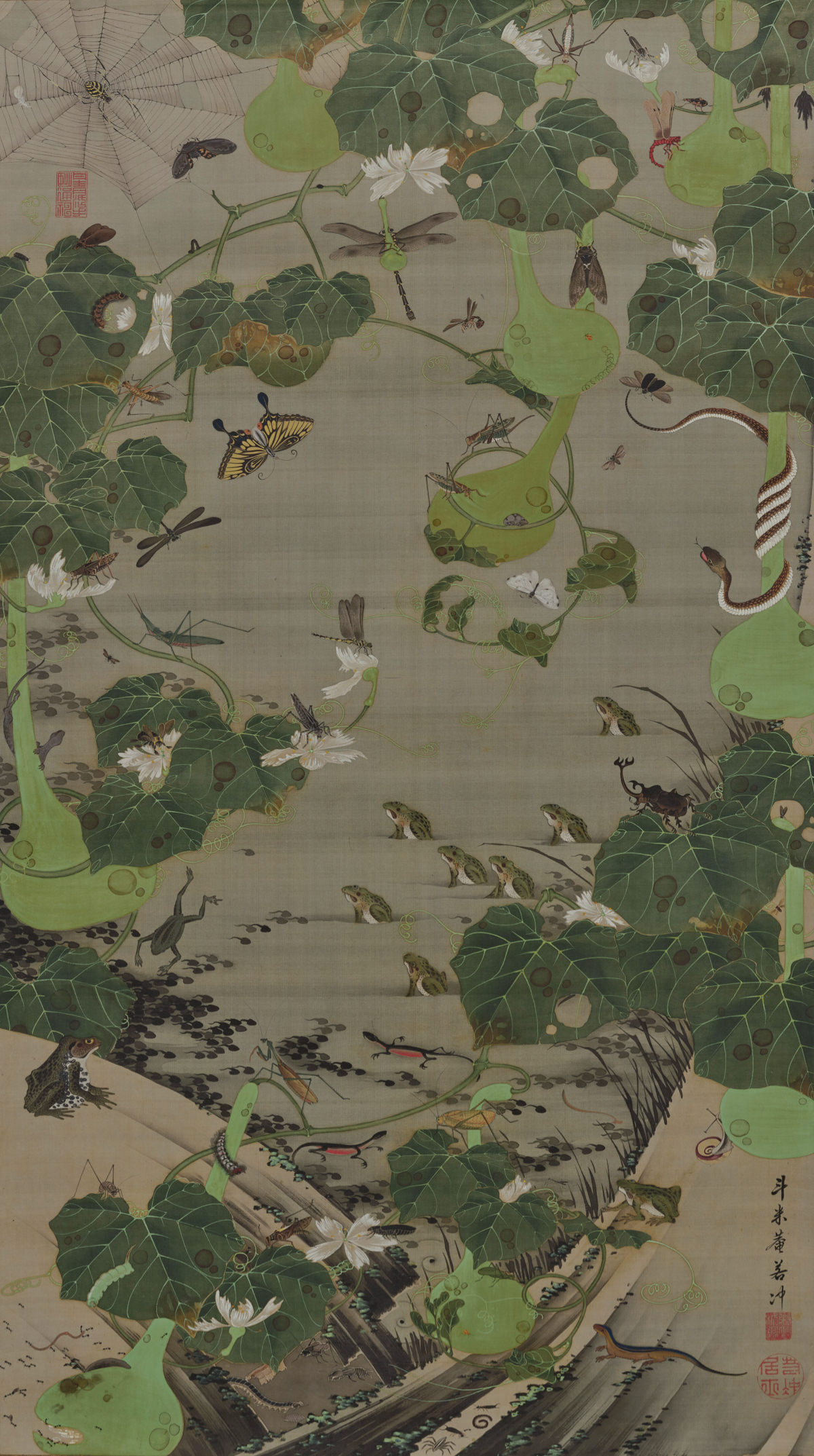 Insects and reptiles at a pond