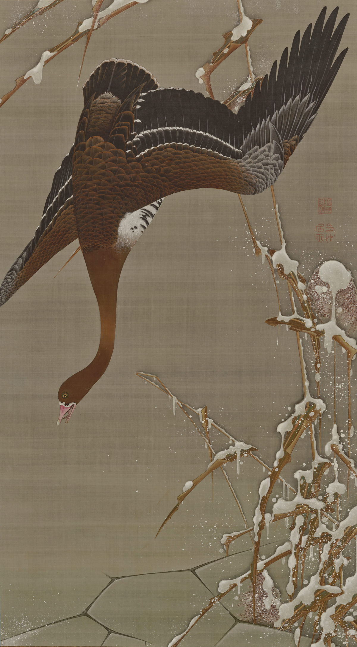 Wild goose and snow-covered reeds