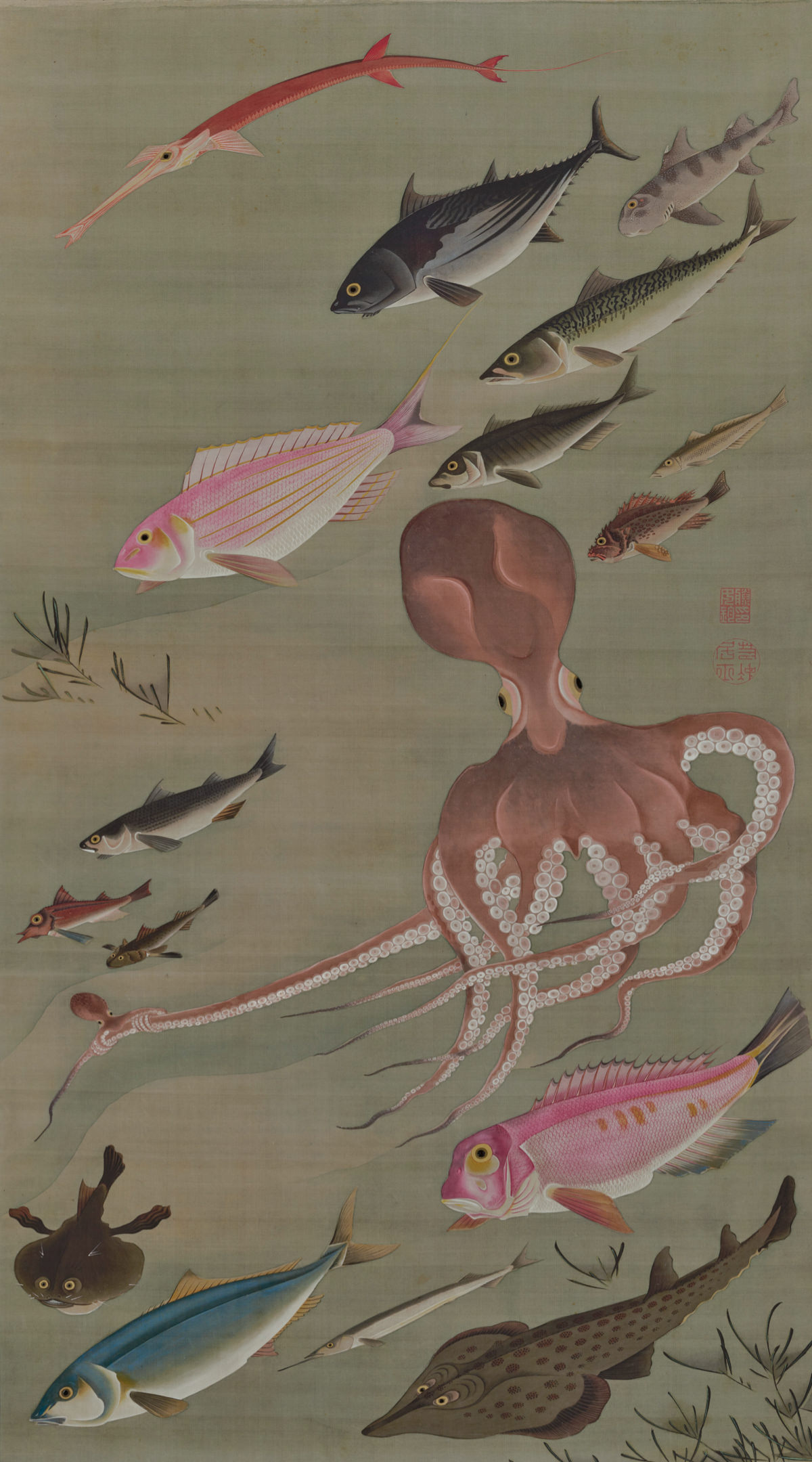 Fish and octopus