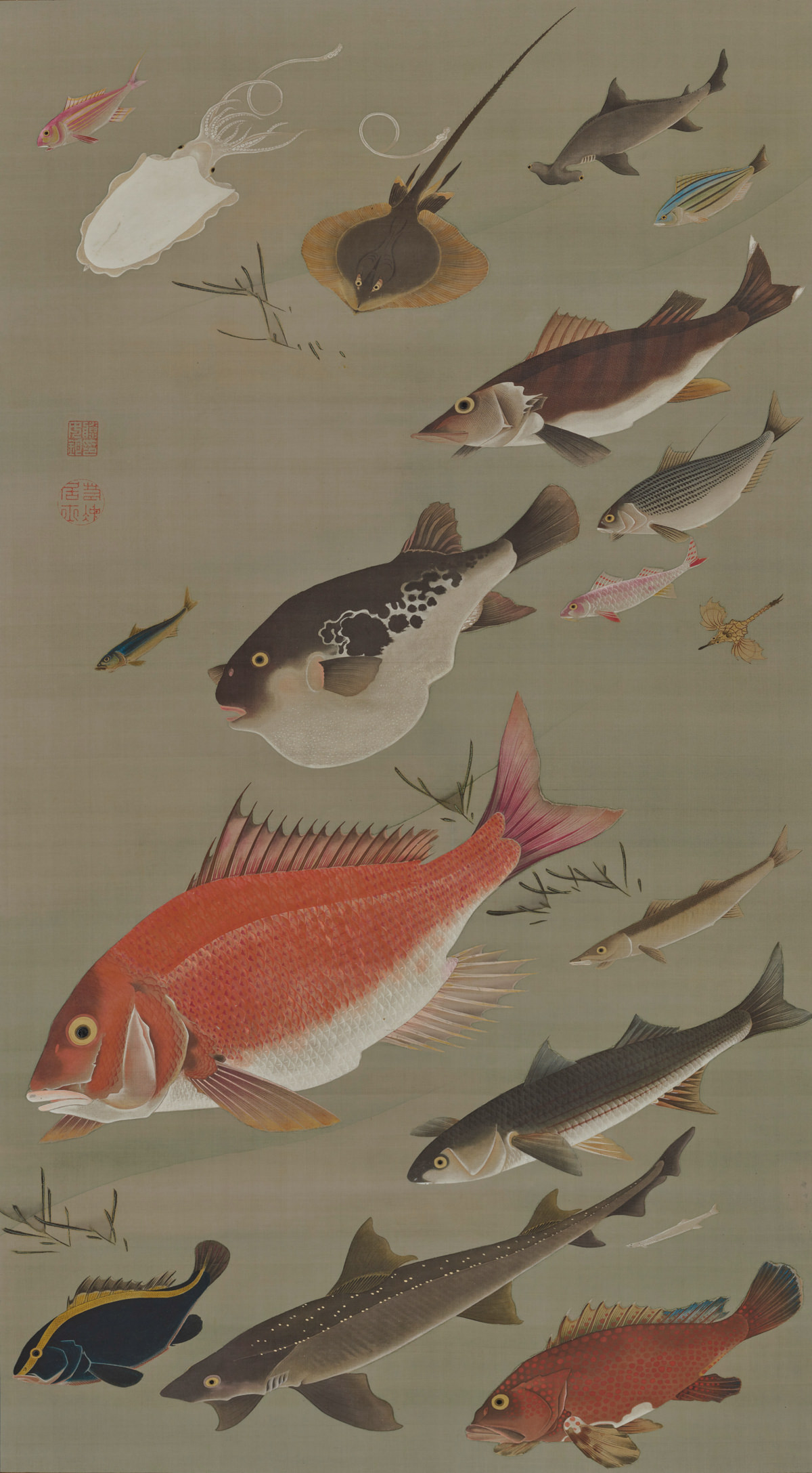 Fish