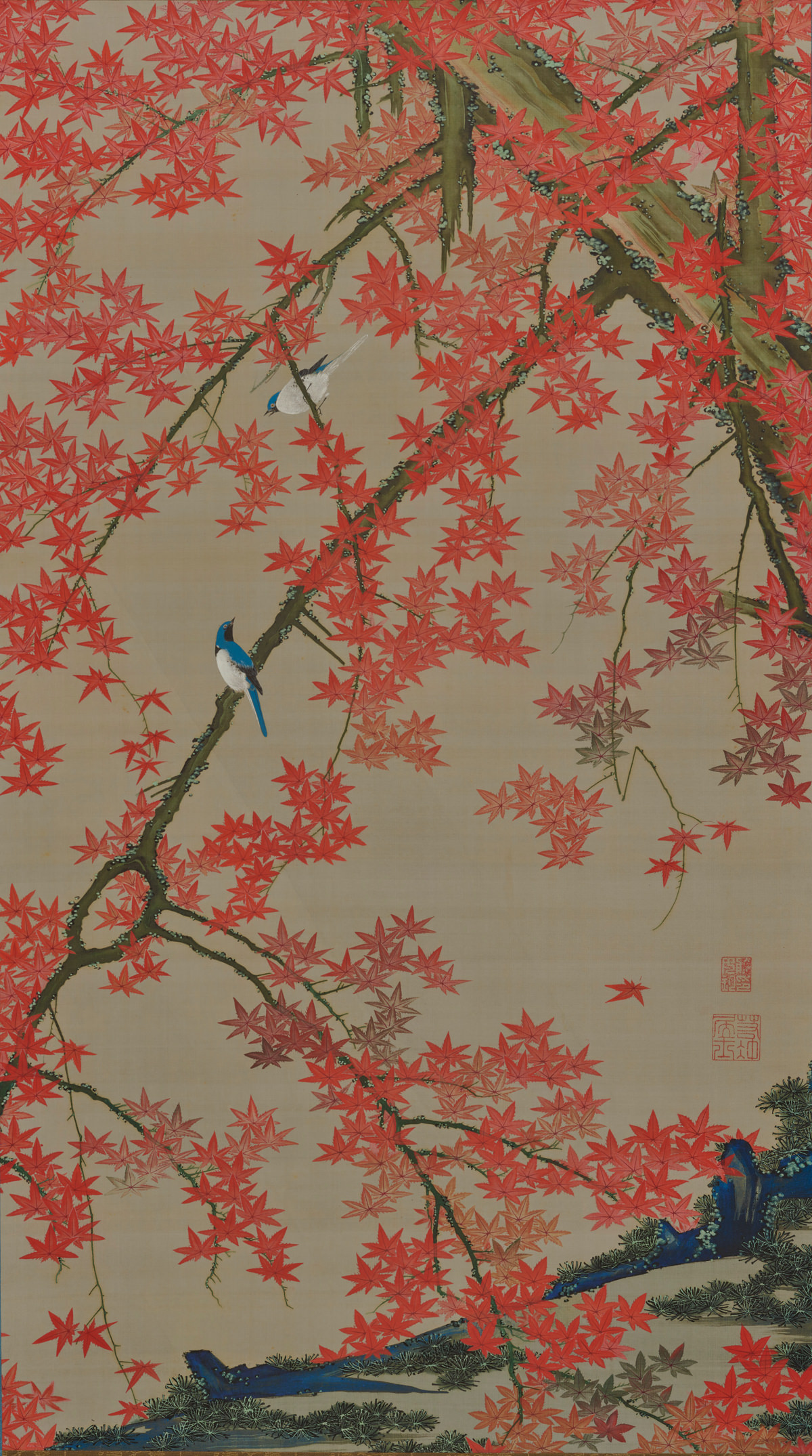 Birds and autumn maples