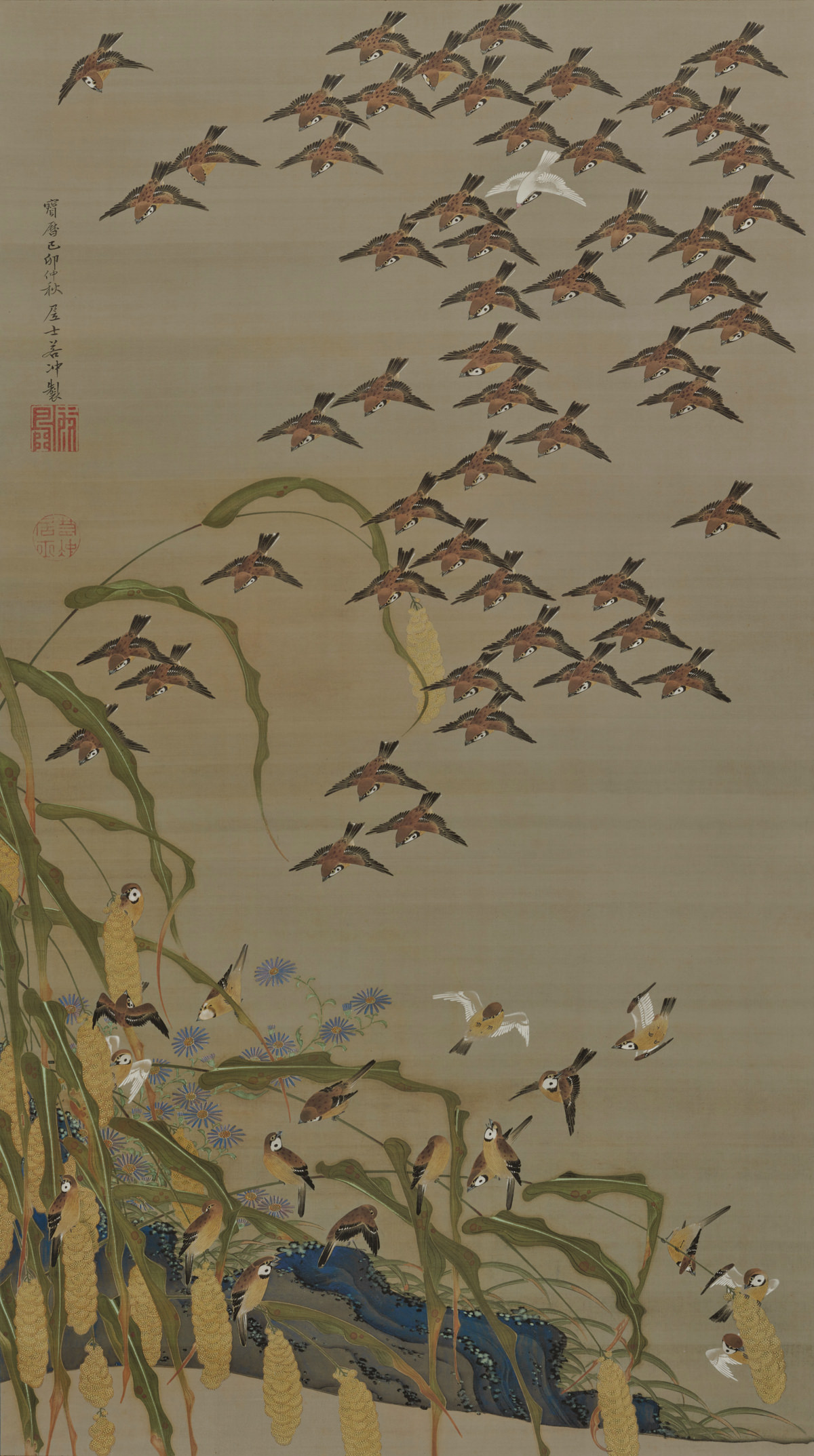 Sparrows and millet