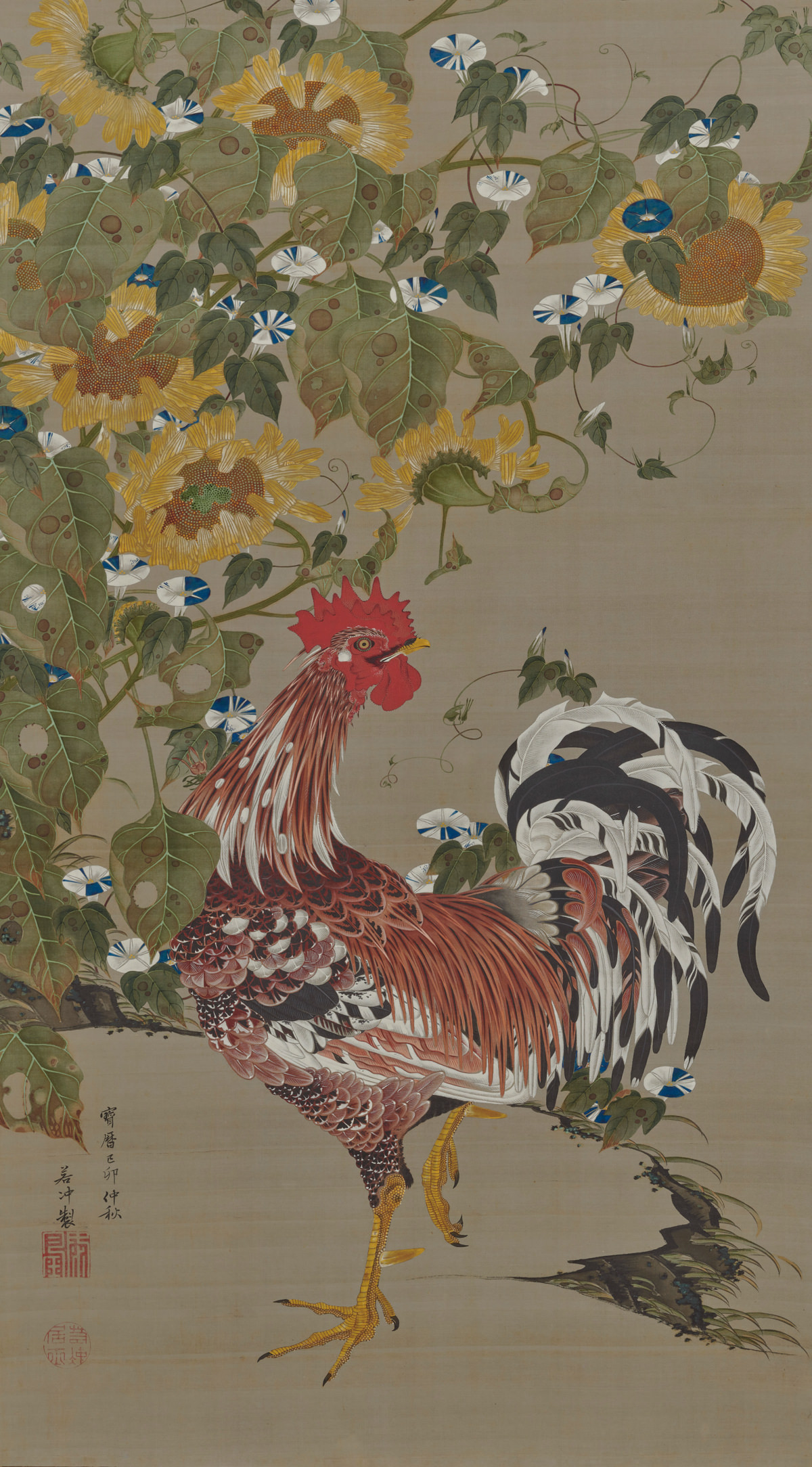 Rooster, sunflowers and morning glories