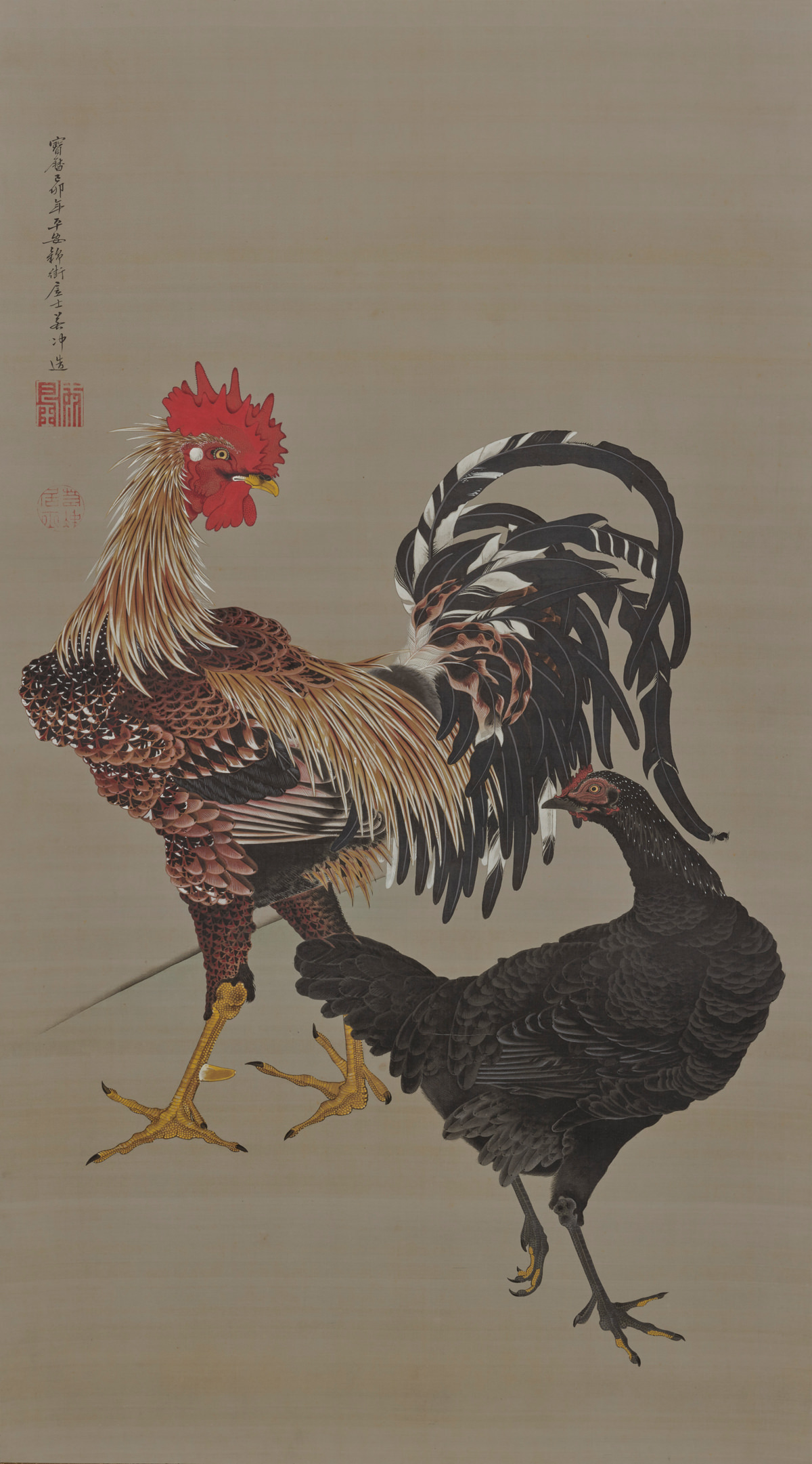 Rooster and hen