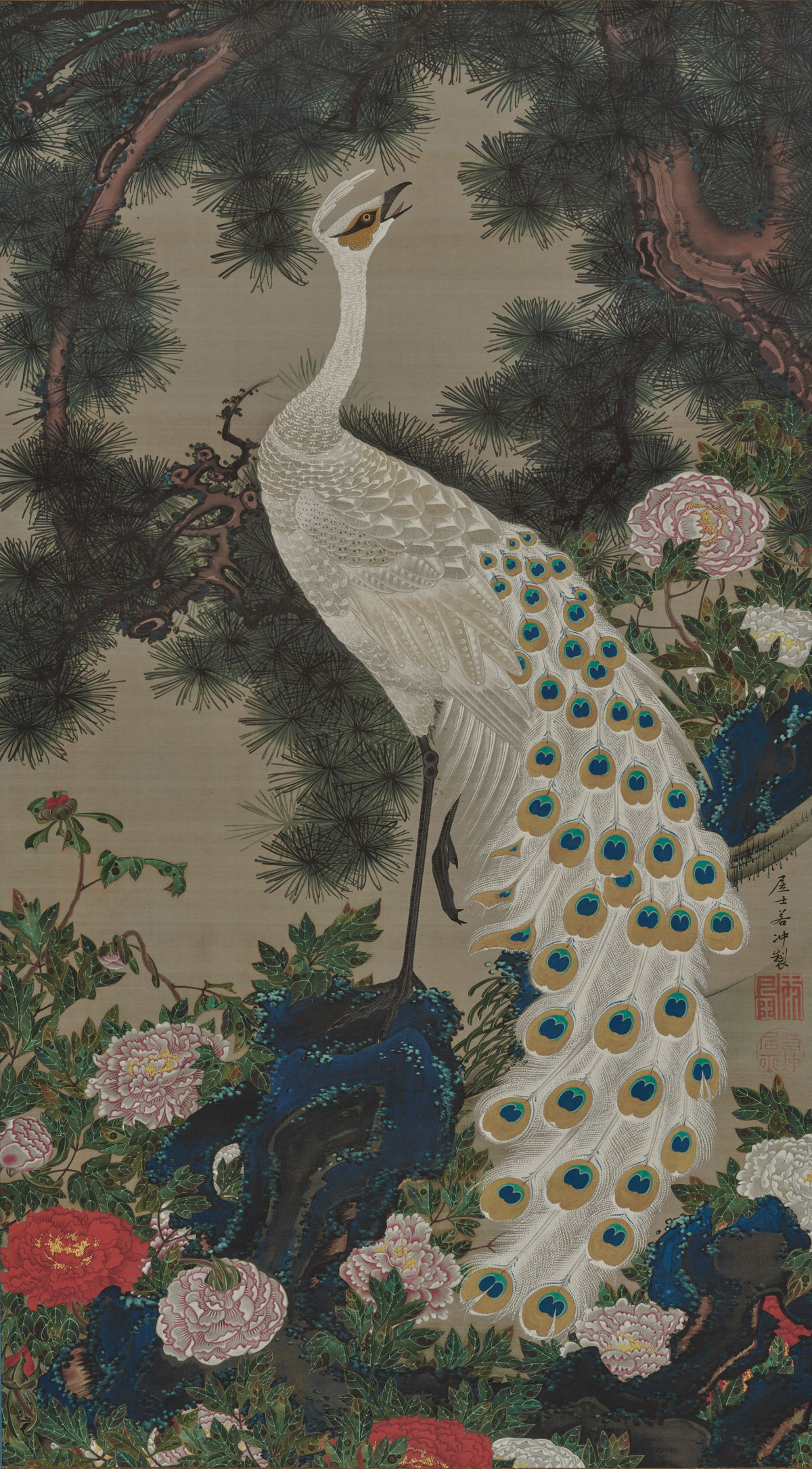 White peacock and peonies under a pine