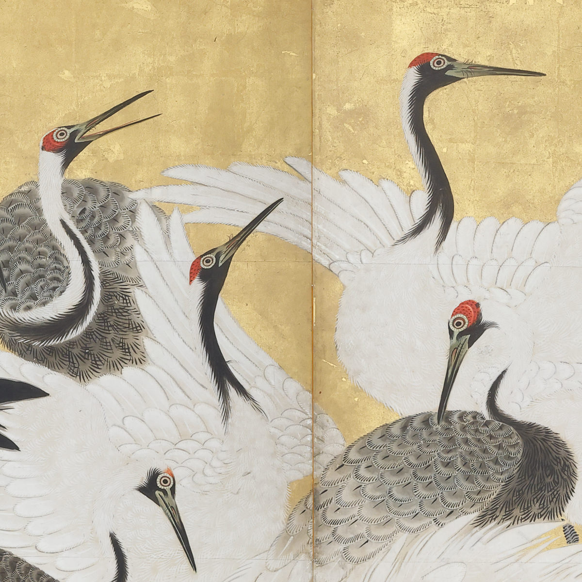 Flock of Cranes