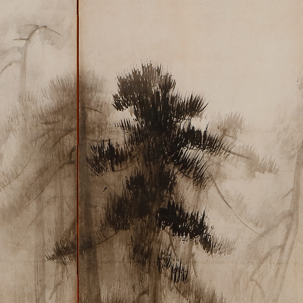 Pine Forest