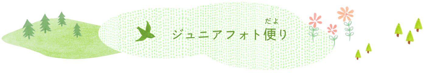ジュニアフォト便り