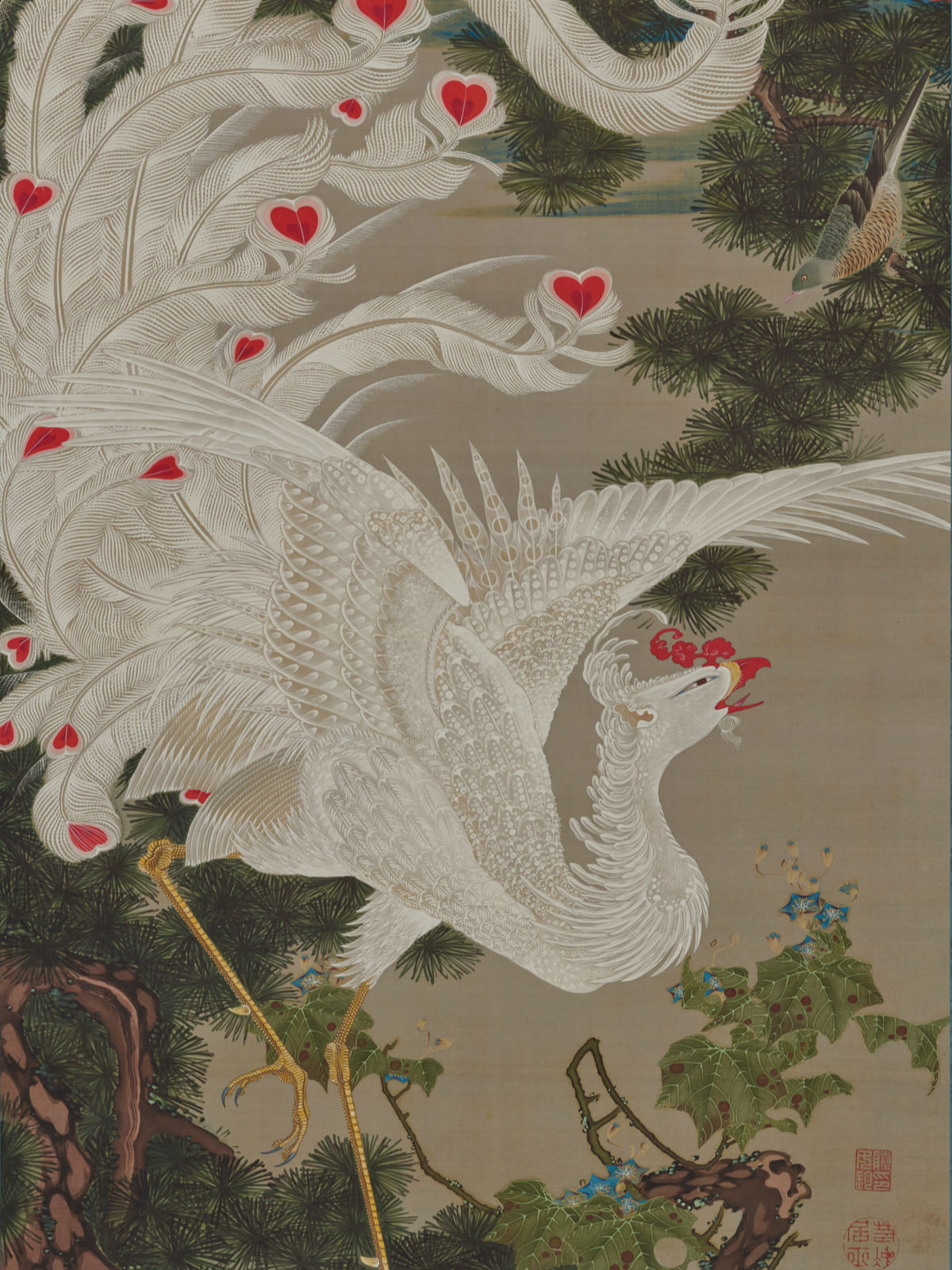 動植綵絵