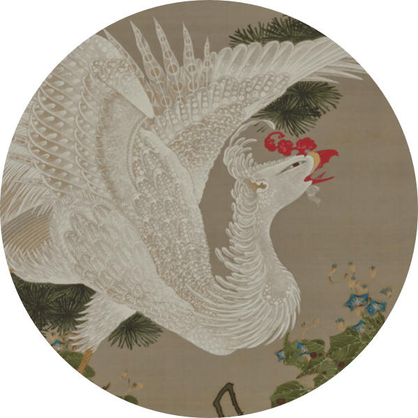 動植綵絵